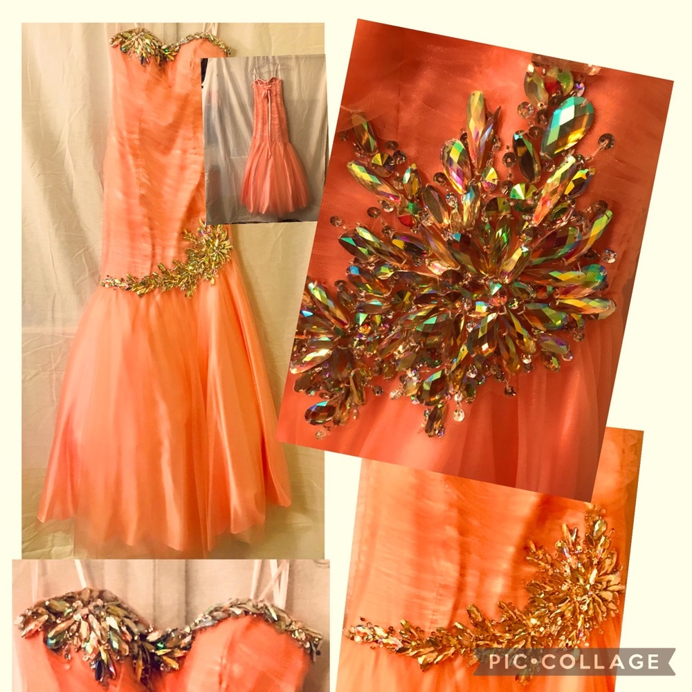 Anny Lee_Gorgeous Organza Mermaid Gown_ New_Peach_Special Event_Small